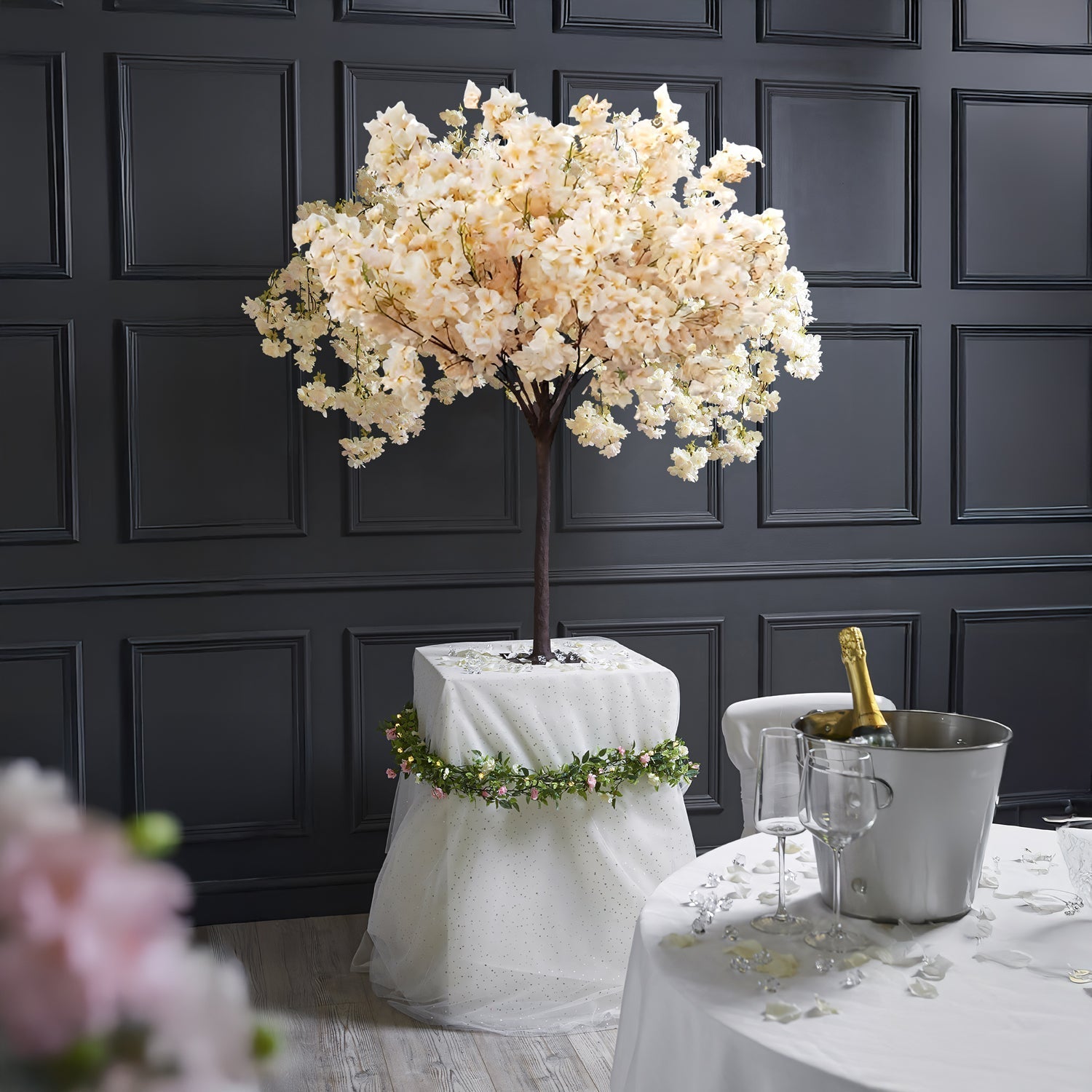 Prunus Ukon Blossom Tree