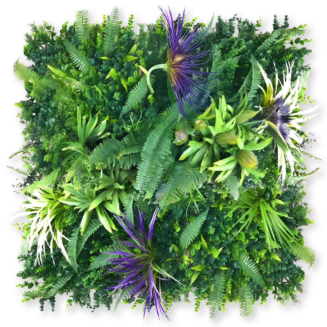 Amethyst Zen Greenery